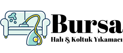 Bursali Koltuk Yıkamacı Logo