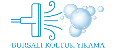 Bursali Koltuk Yıkama Logo